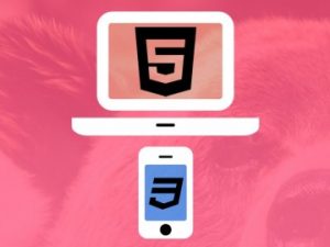 Web Designing for Beginners: Real World Coding in HTML & CSS